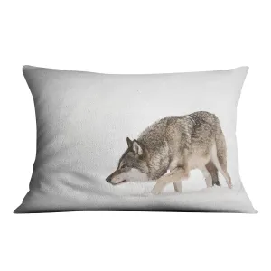 A solitary lone wolf prowls through snow Cushion