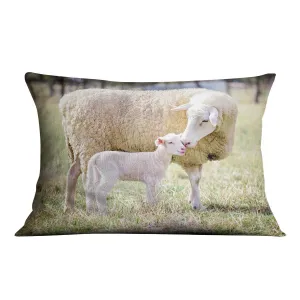 A white suffolk sheep with a lamb Cushion