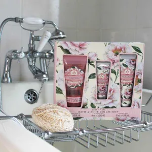 AAA - Bath & Body Collection