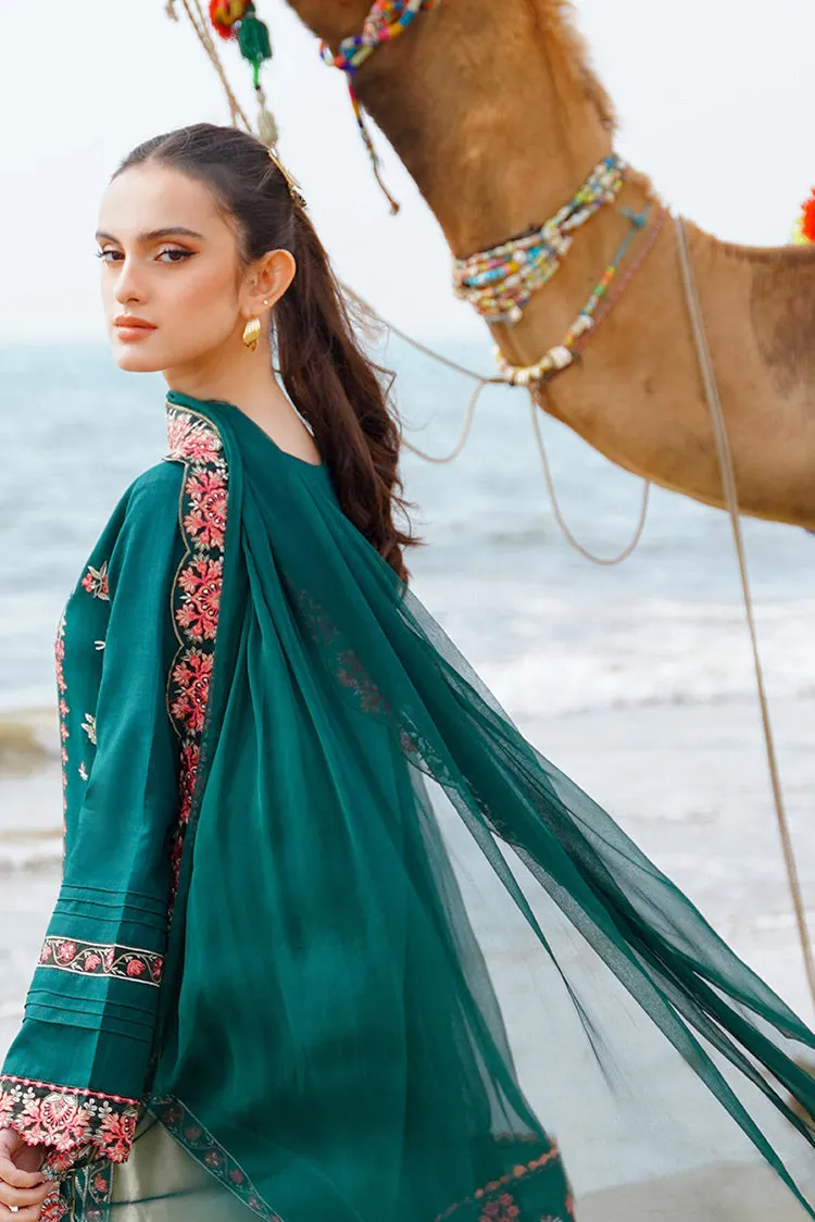 Aabyaan - AF 10 NOORA Saagar Luxury Festive Collection