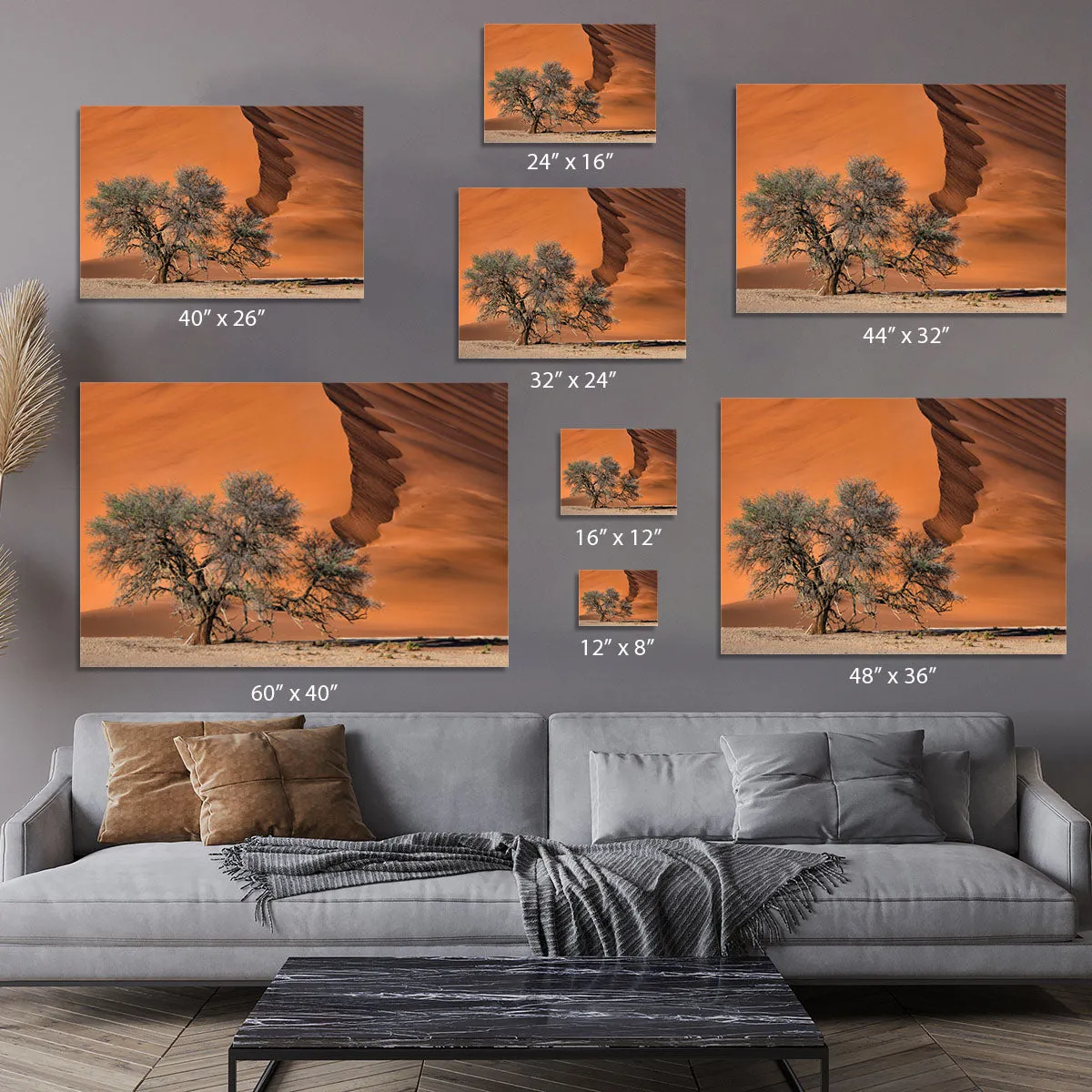 Acacia In The Desert Canvas Print or Poster