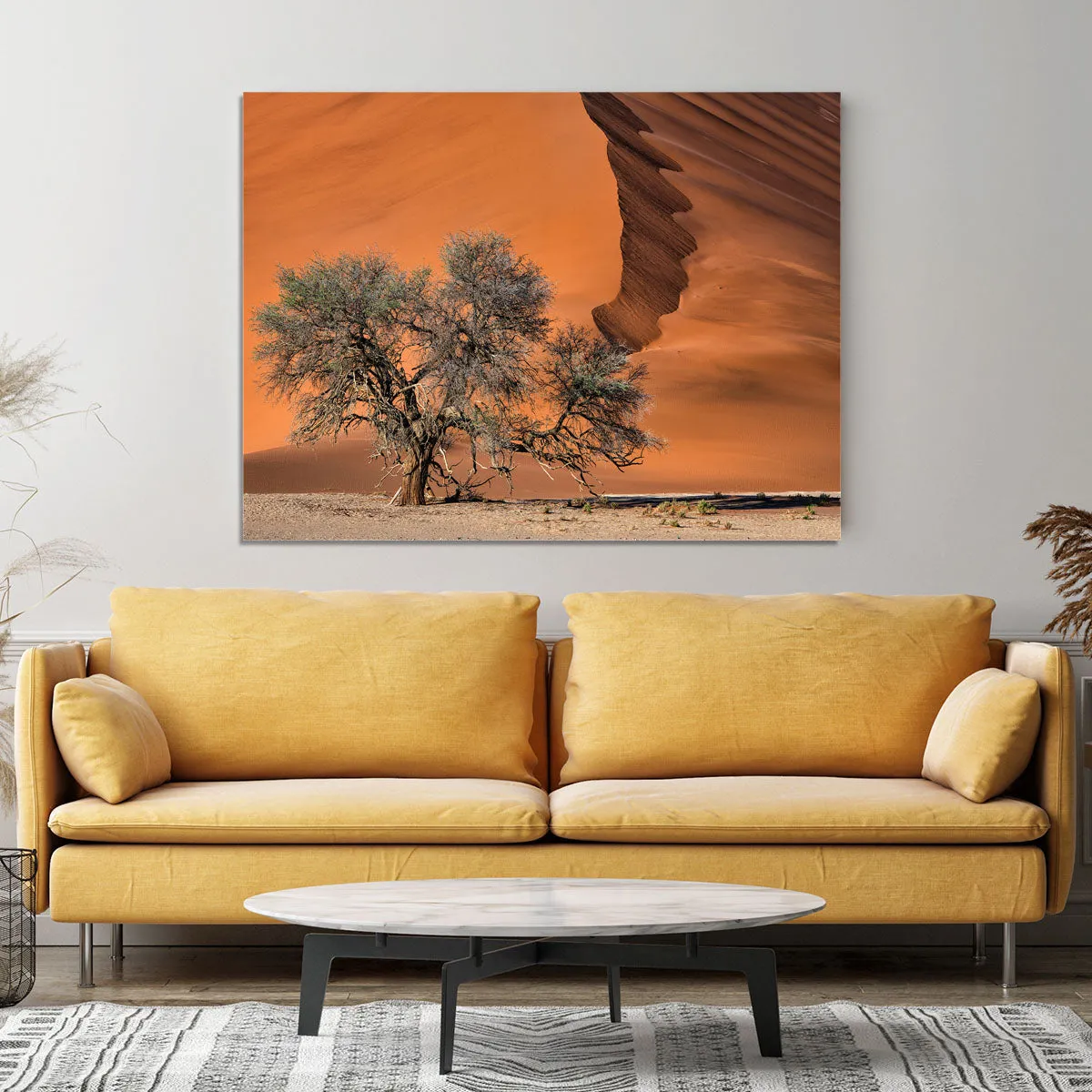 Acacia In The Desert Canvas Print or Poster