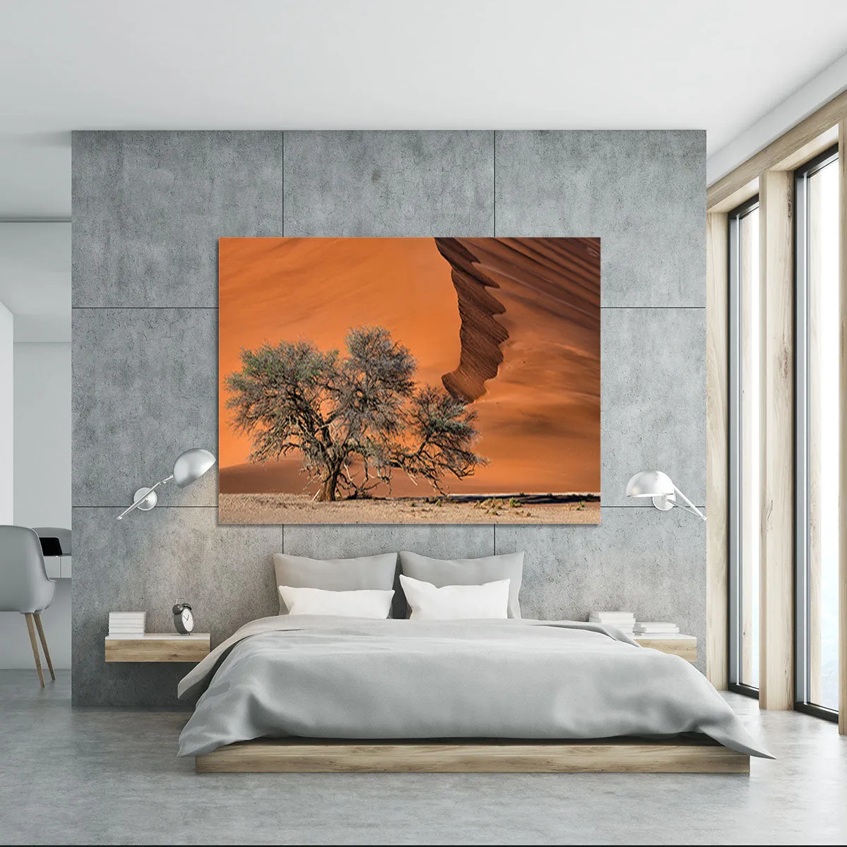 Acacia In The Desert Canvas Print or Poster