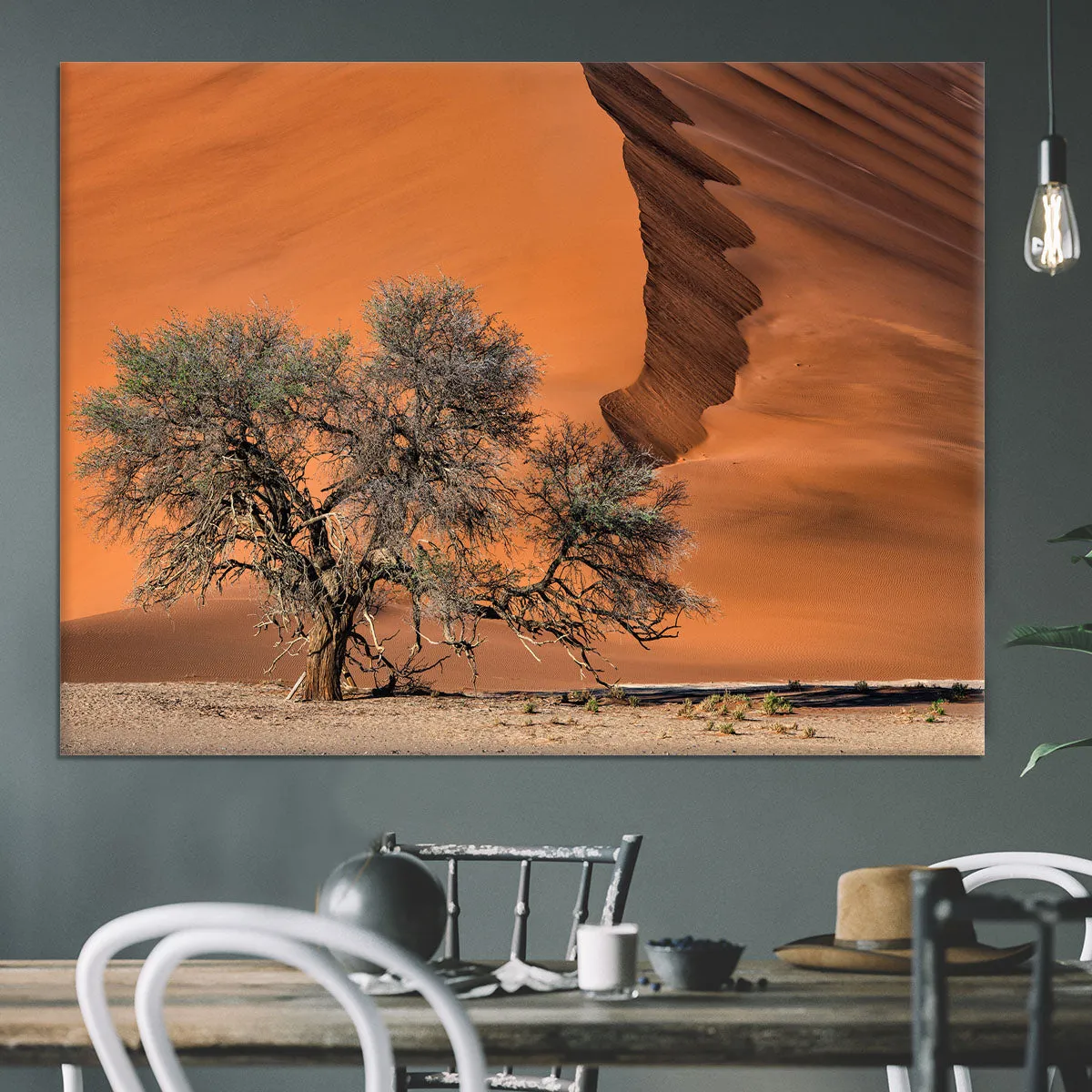 Acacia In The Desert Canvas Print or Poster