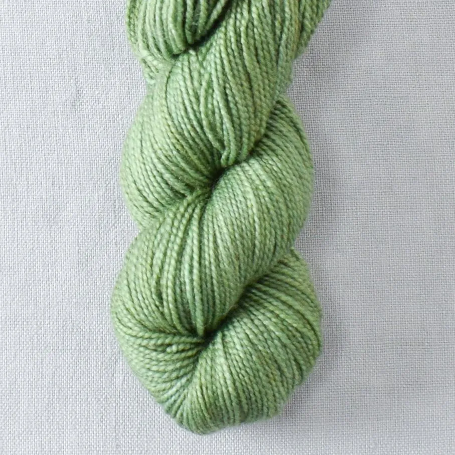 Acanthus - 2-Ply Toes