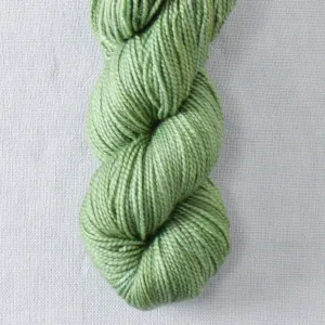 Acanthus - 2-Ply Toes