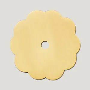 ADA Scallop Knob Backplate - Brass