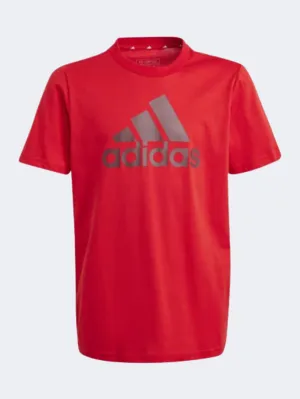 Adidas Essential Big Logo Sportswear T-Shirt Shadow Red