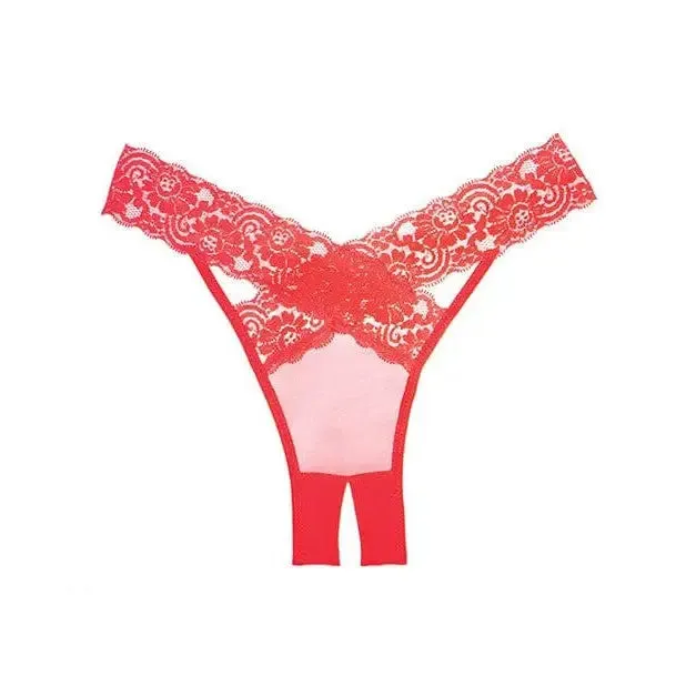 Adore 'Desire' Sheer & Lace Panty