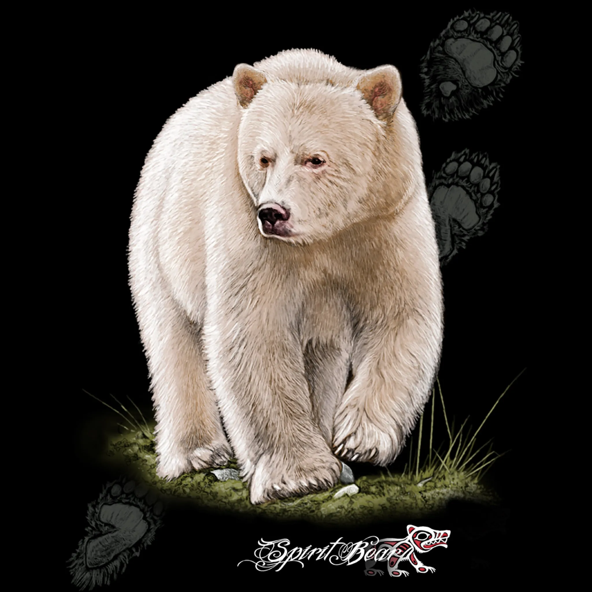 Adult Spirit Bear T-Shirt (Kermode)