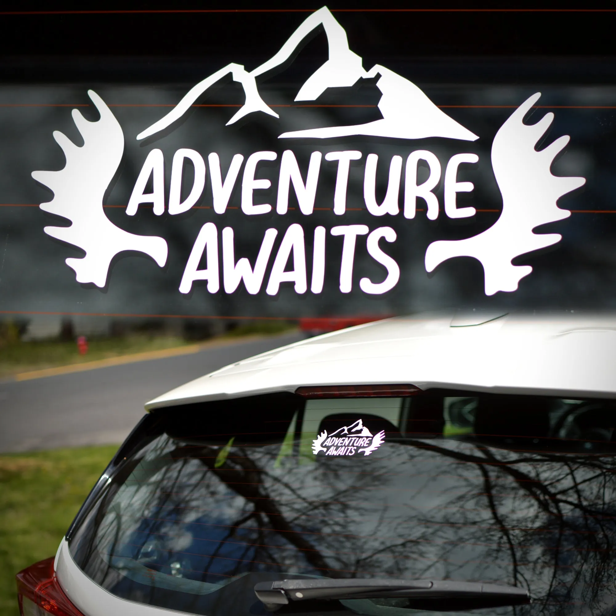 Adventure Awaits, Mountain Moose Antler