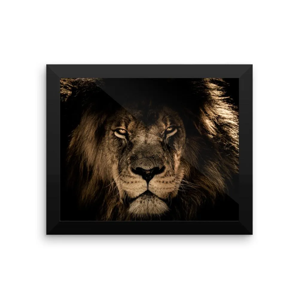 African Lion Framed Photo Poster Wall Art Decoration Decor For Bedroom Living Room