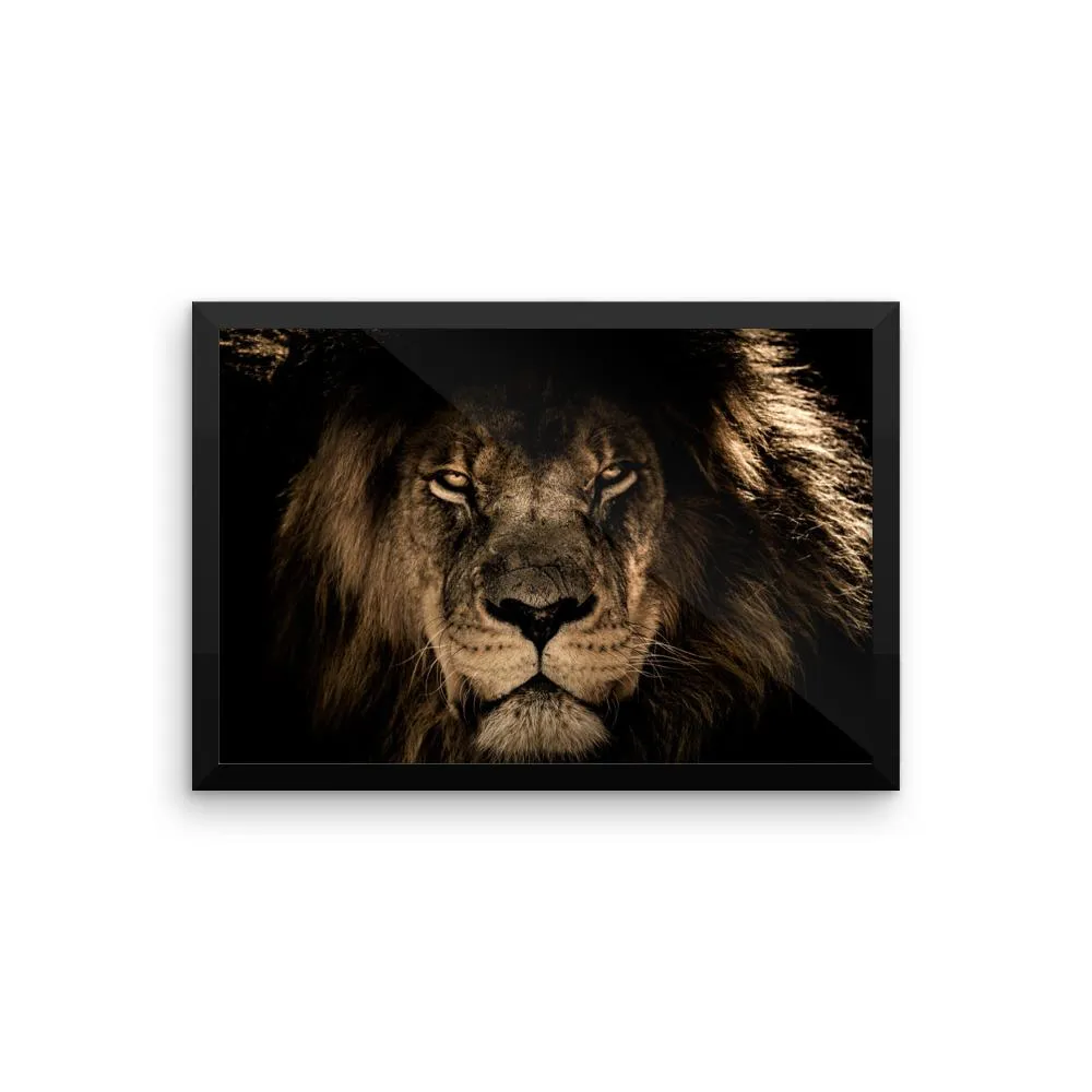 African Lion Framed Photo Poster Wall Art Decoration Decor For Bedroom Living Room