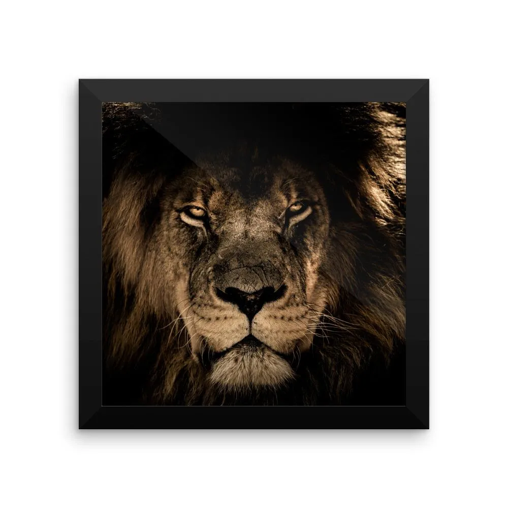 African Lion Framed Photo Poster Wall Art Decoration Decor For Bedroom Living Room