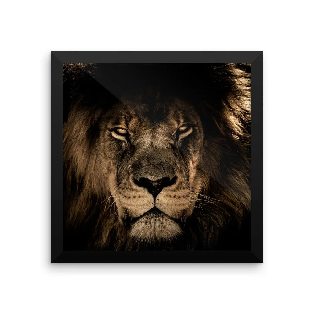 African Lion Framed Photo Poster Wall Art Decoration Decor For Bedroom Living Room