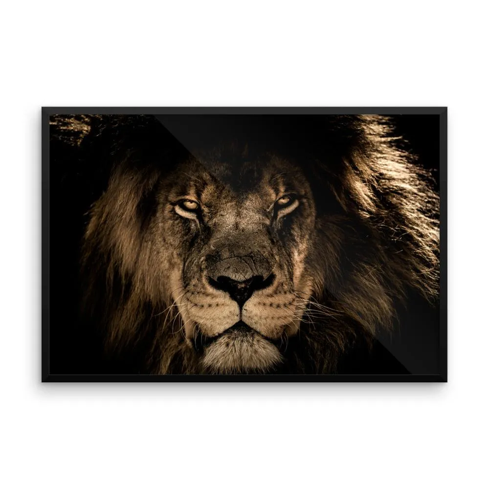 African Lion Framed Photo Poster Wall Art Decoration Decor For Bedroom Living Room