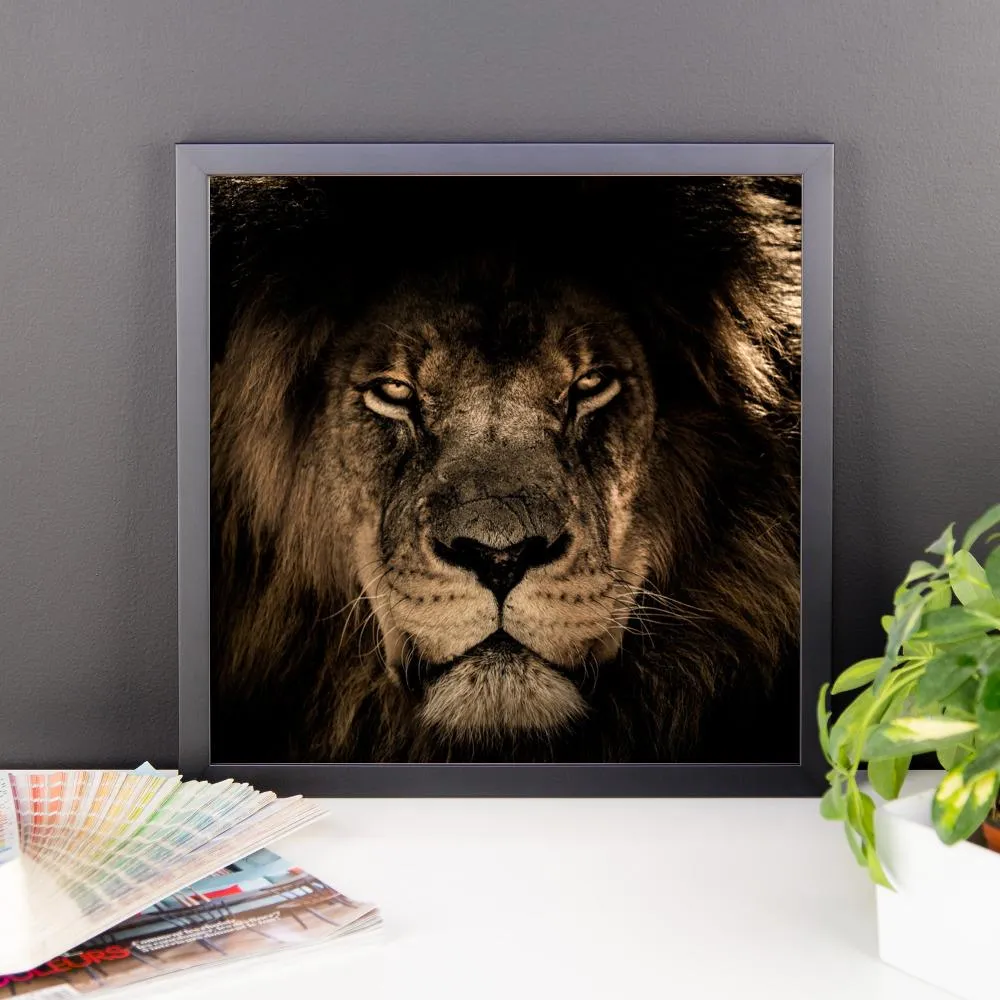 African Lion Framed Photo Poster Wall Art Decoration Decor For Bedroom Living Room