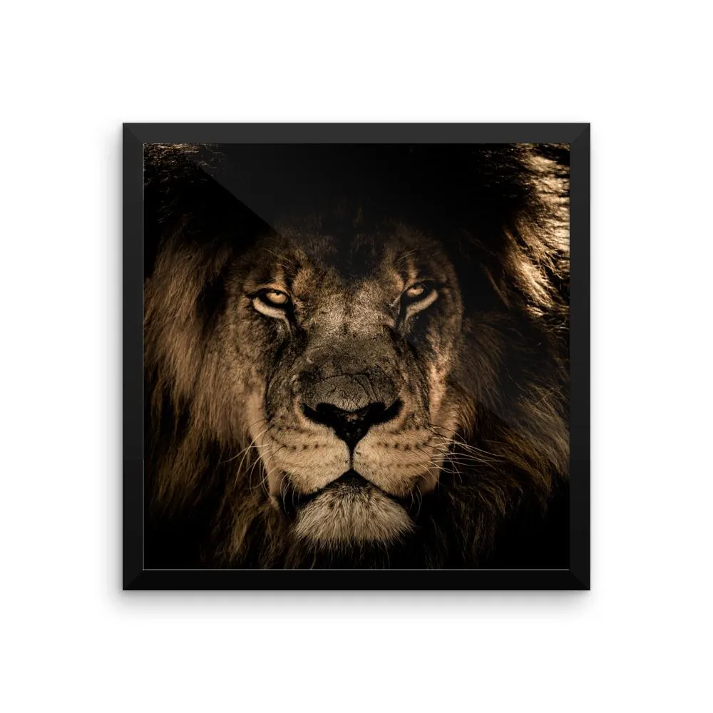 African Lion Framed Photo Poster Wall Art Decoration Decor For Bedroom Living Room