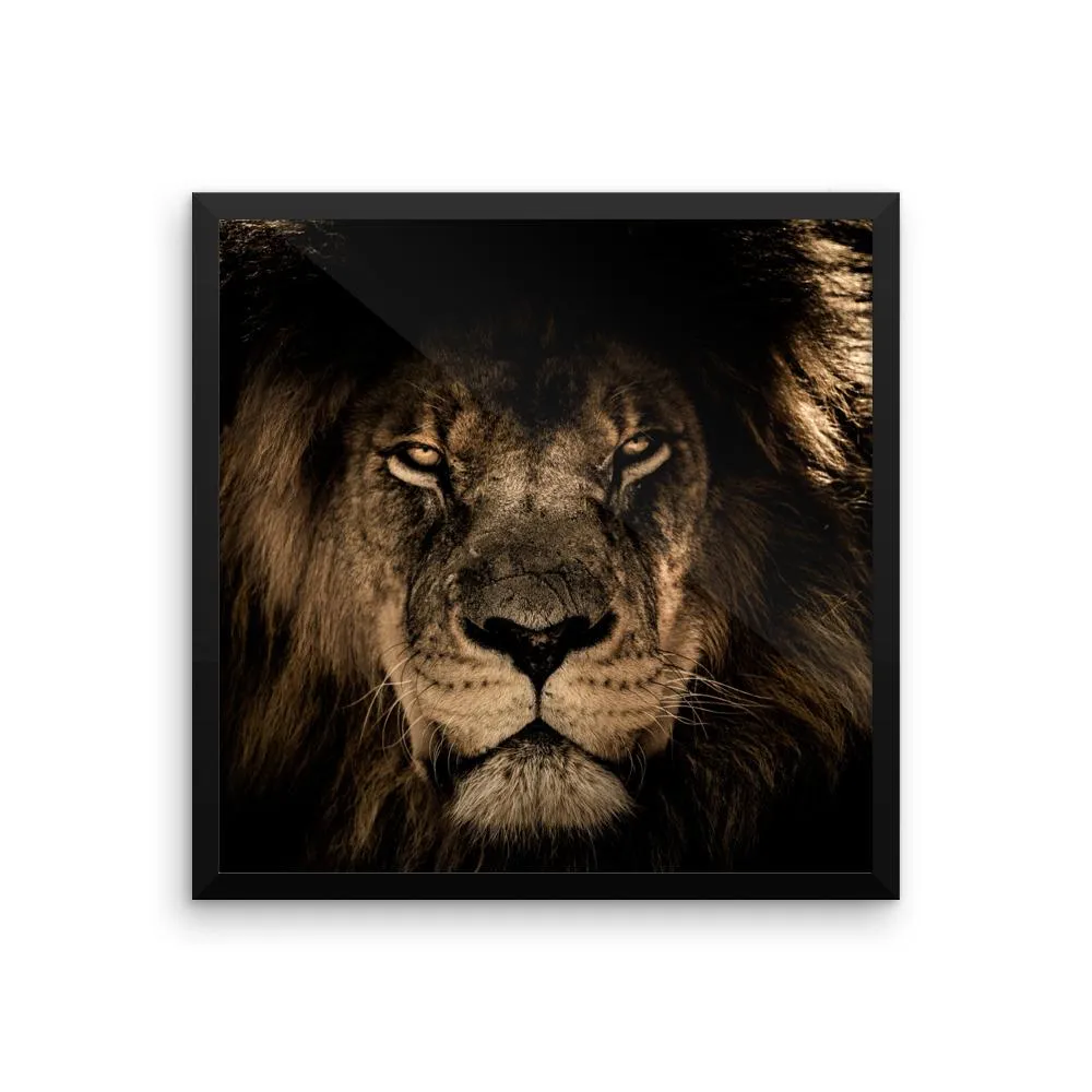 African Lion Framed Photo Poster Wall Art Decoration Decor For Bedroom Living Room