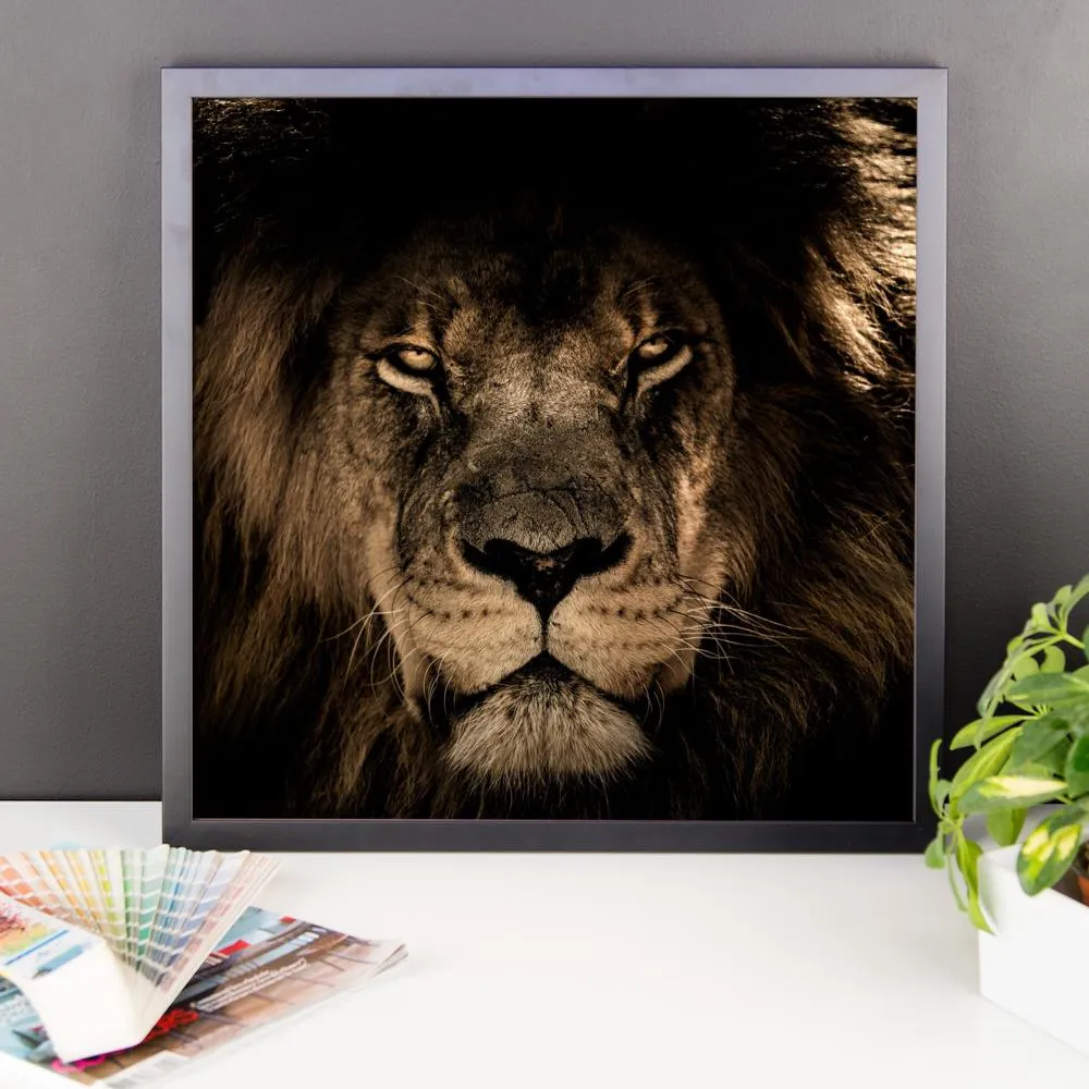 African Lion Framed Photo Poster Wall Art Decoration Decor For Bedroom Living Room