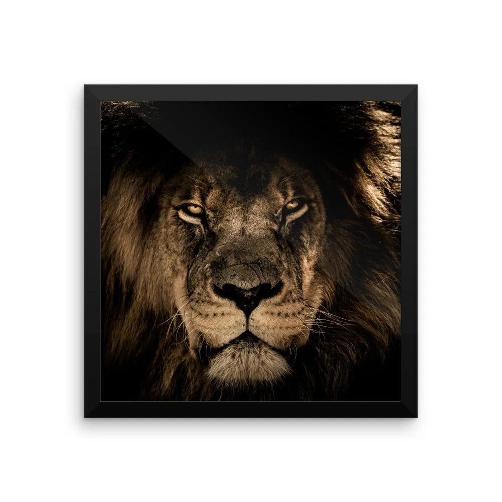 African Lion Framed Photo Poster Wall Art Decoration Decor For Bedroom Living Room