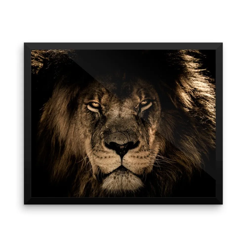 African Lion Framed Photo Poster Wall Art Decoration Decor For Bedroom Living Room