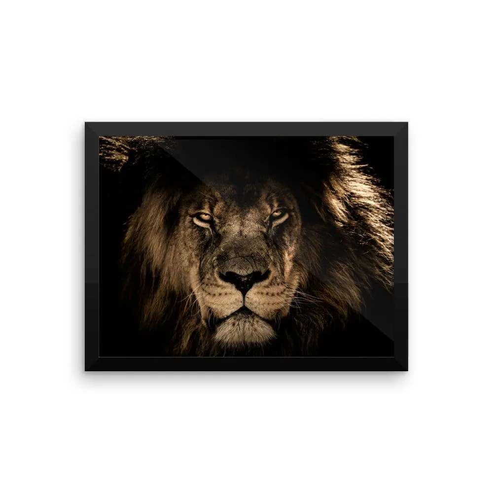 African Lion Framed Photo Poster Wall Art Decoration Decor For Bedroom Living Room