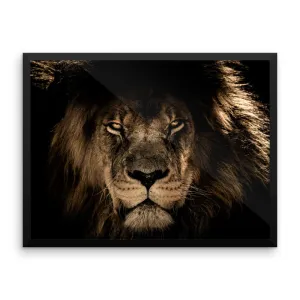 African Lion Framed Photo Poster Wall Art Decoration Decor For Bedroom Living Room