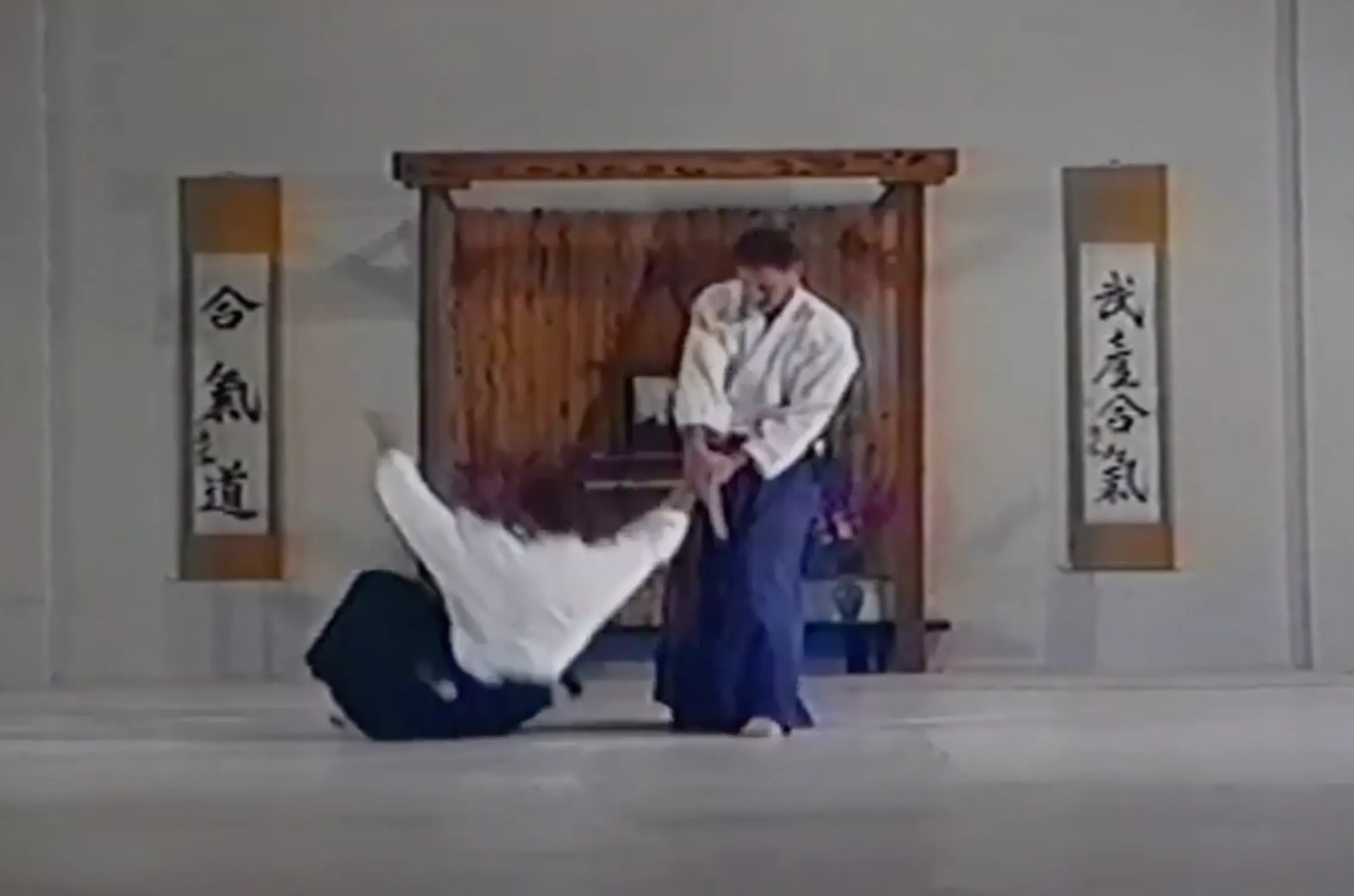 Aikido Expo Collection by Aikido Today Magazine  (On Demand)