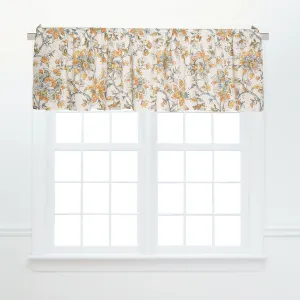 Ainsley Valance