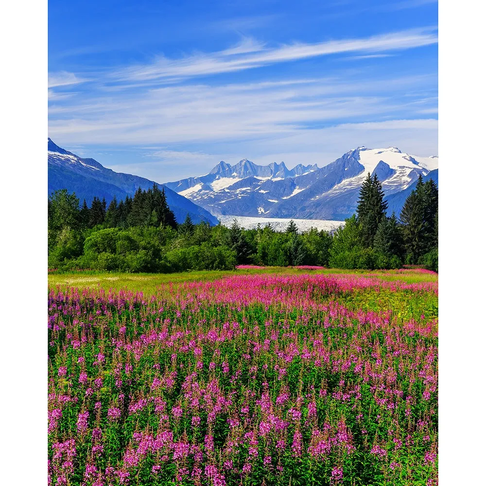 Alaskan Meadow Printed Backdrop