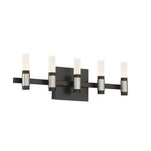 Albany 10 Lights 20 in. LED Vanity Light Black & Nickel Finish