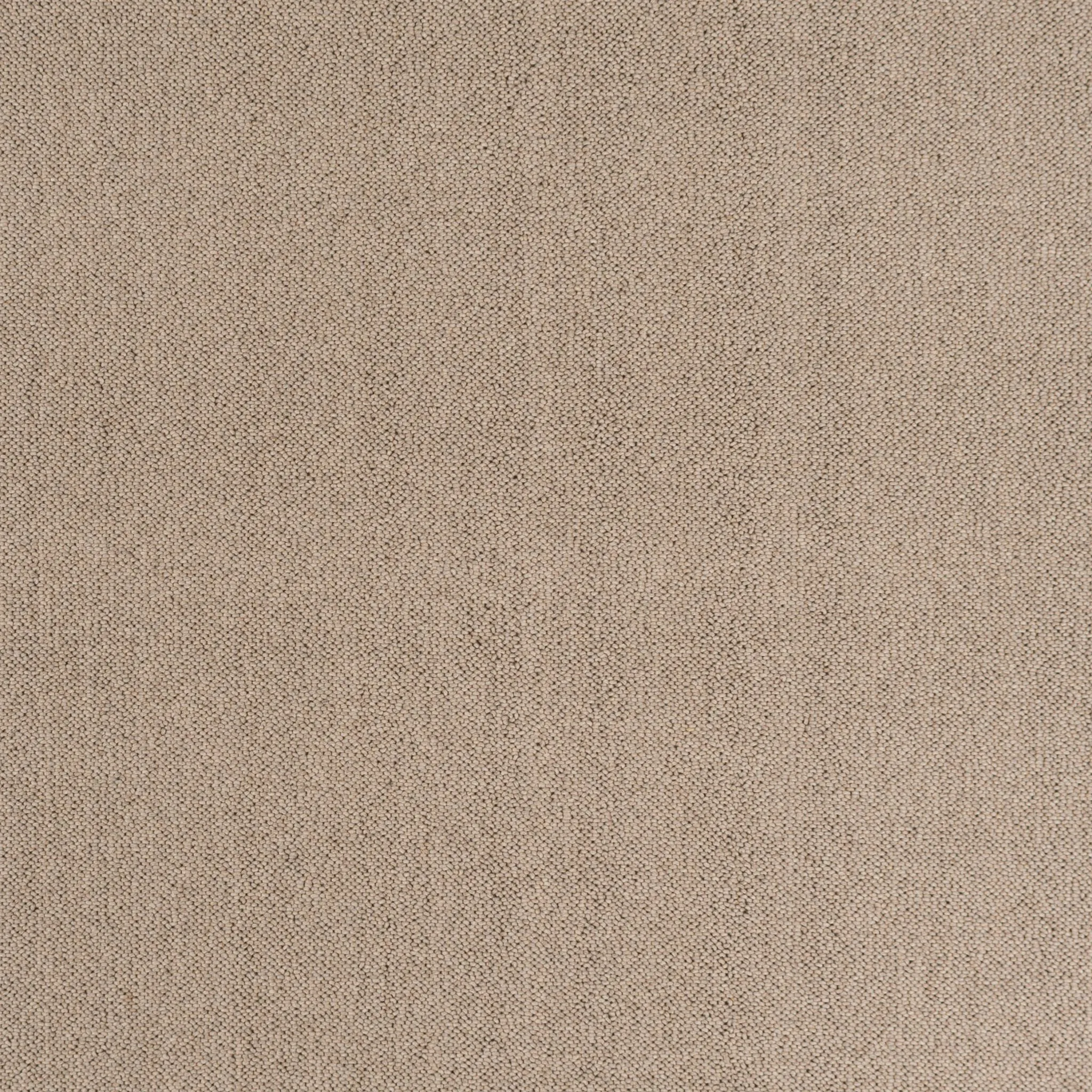 Alberni Tufted Carpet, Latte