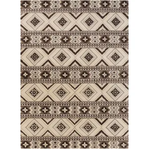 Albuquerque Light Gray/Beige Area Rug