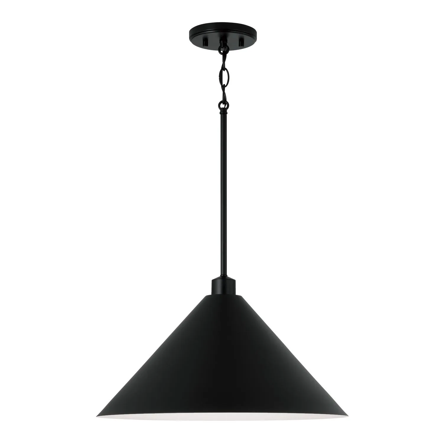 Alden 1-Light Pendant in Matte Black