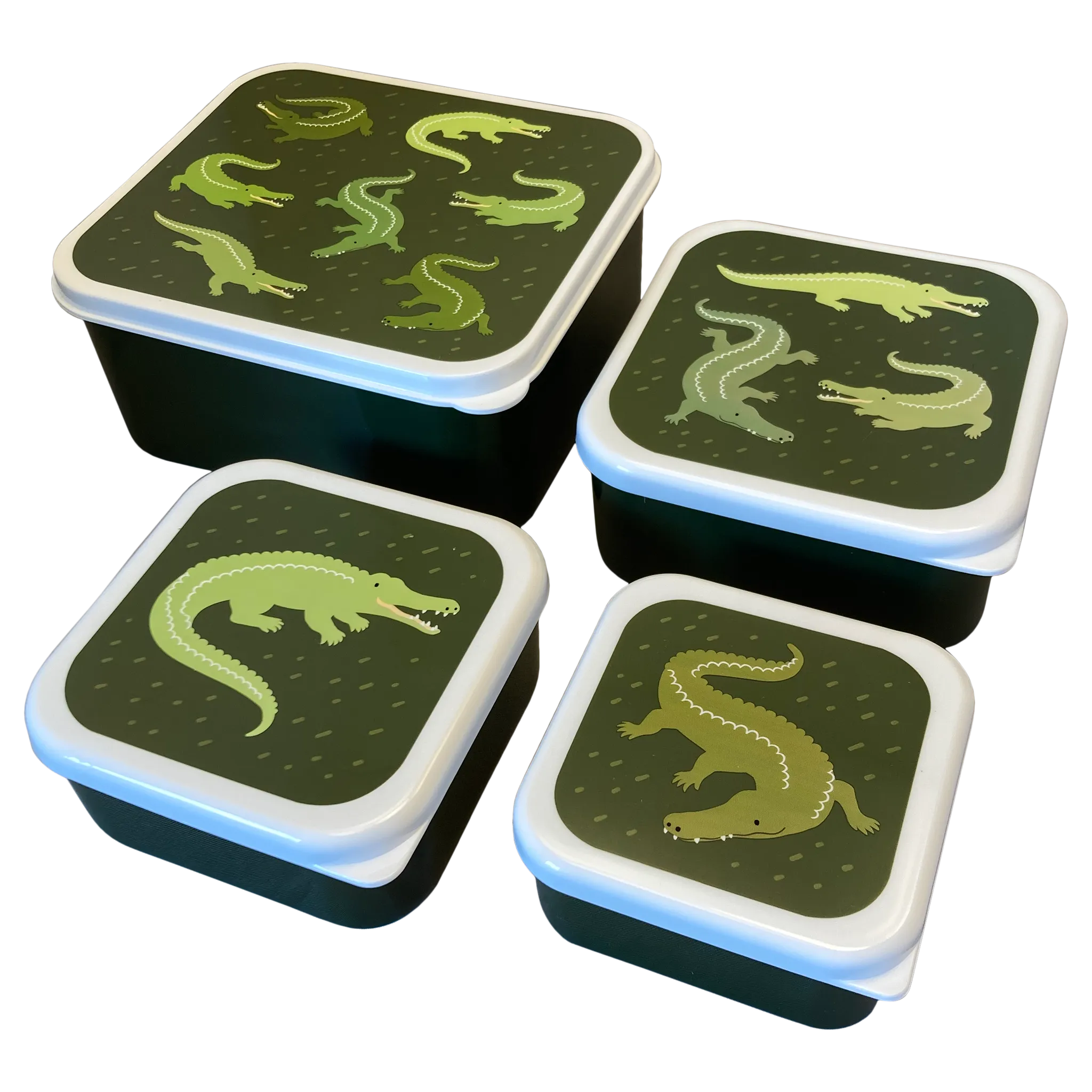 Alligator Snack Box Set