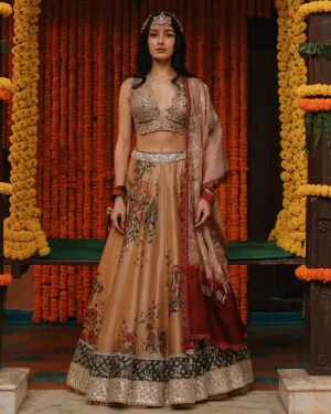 Almond Aj Kalam Lehenga Set