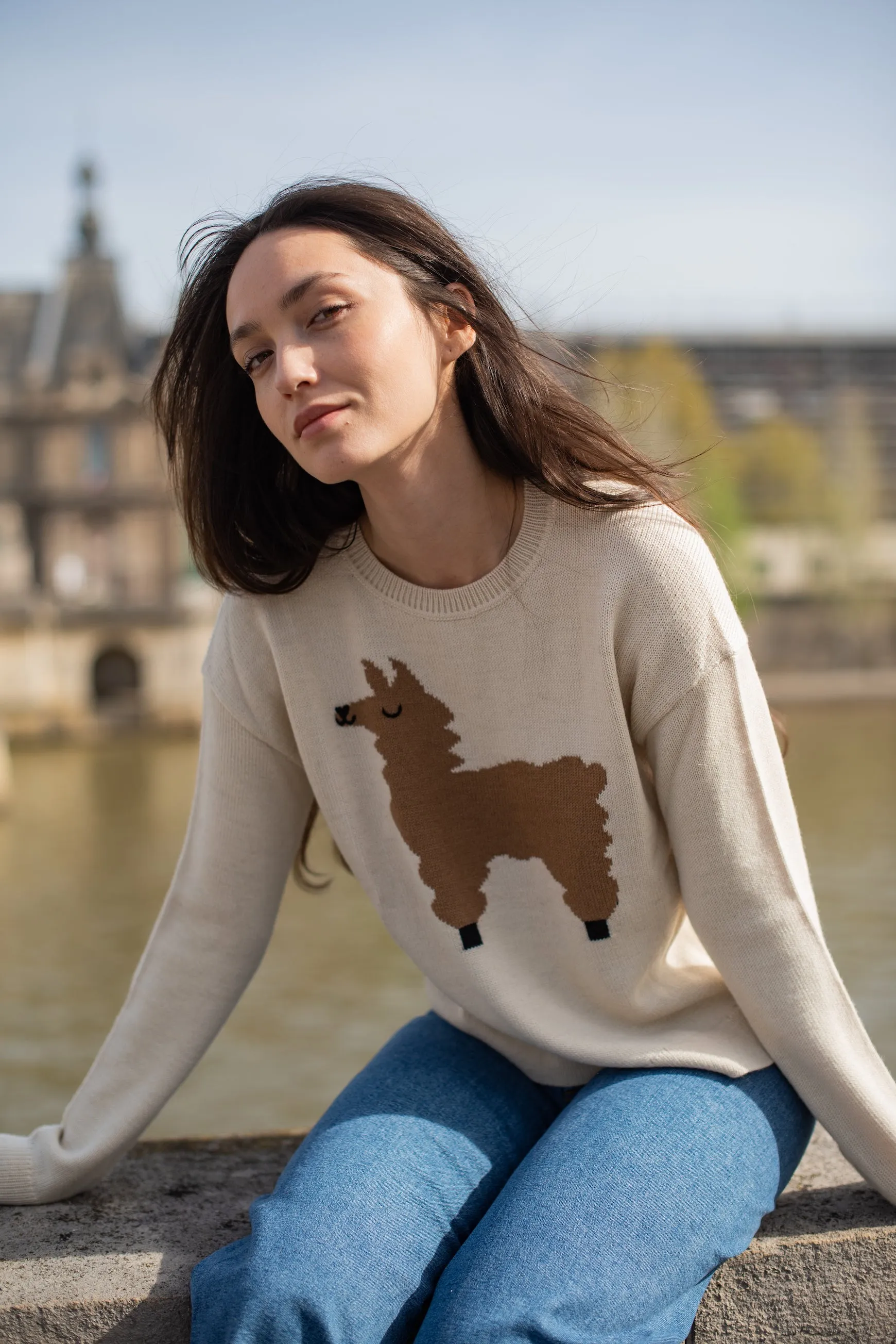 Alpaca design Sweater