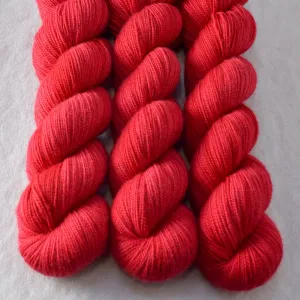 Alpheratz - Yummy 2-Ply