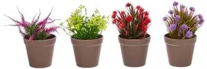 amazon basics Artificial Plants | Realistic Details | Durable Plastic | No Maintenance | Suitable for Various Needs | Ideal for Home and Office Decor | Dimensions: 10 cm X 19 cm (Pack of 4)