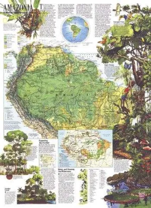 Amazonia, a World Resource At Risk Wall Map by National Geographic (1992)