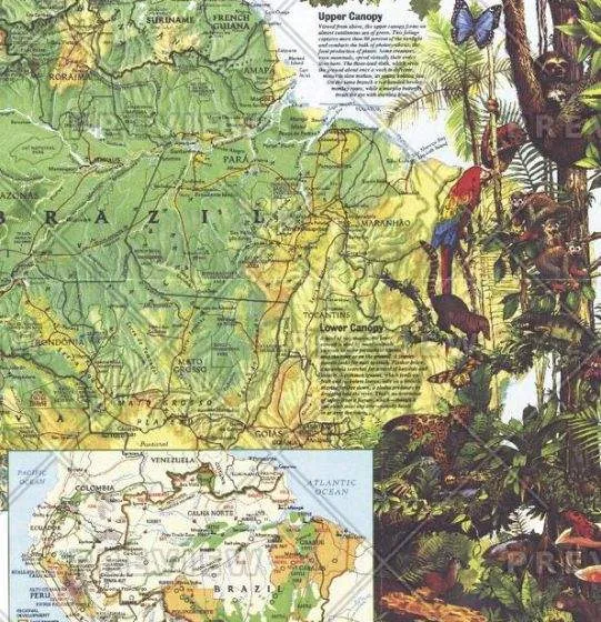 Amazonia, a World Resource At Risk Wall Map by National Geographic (1992)