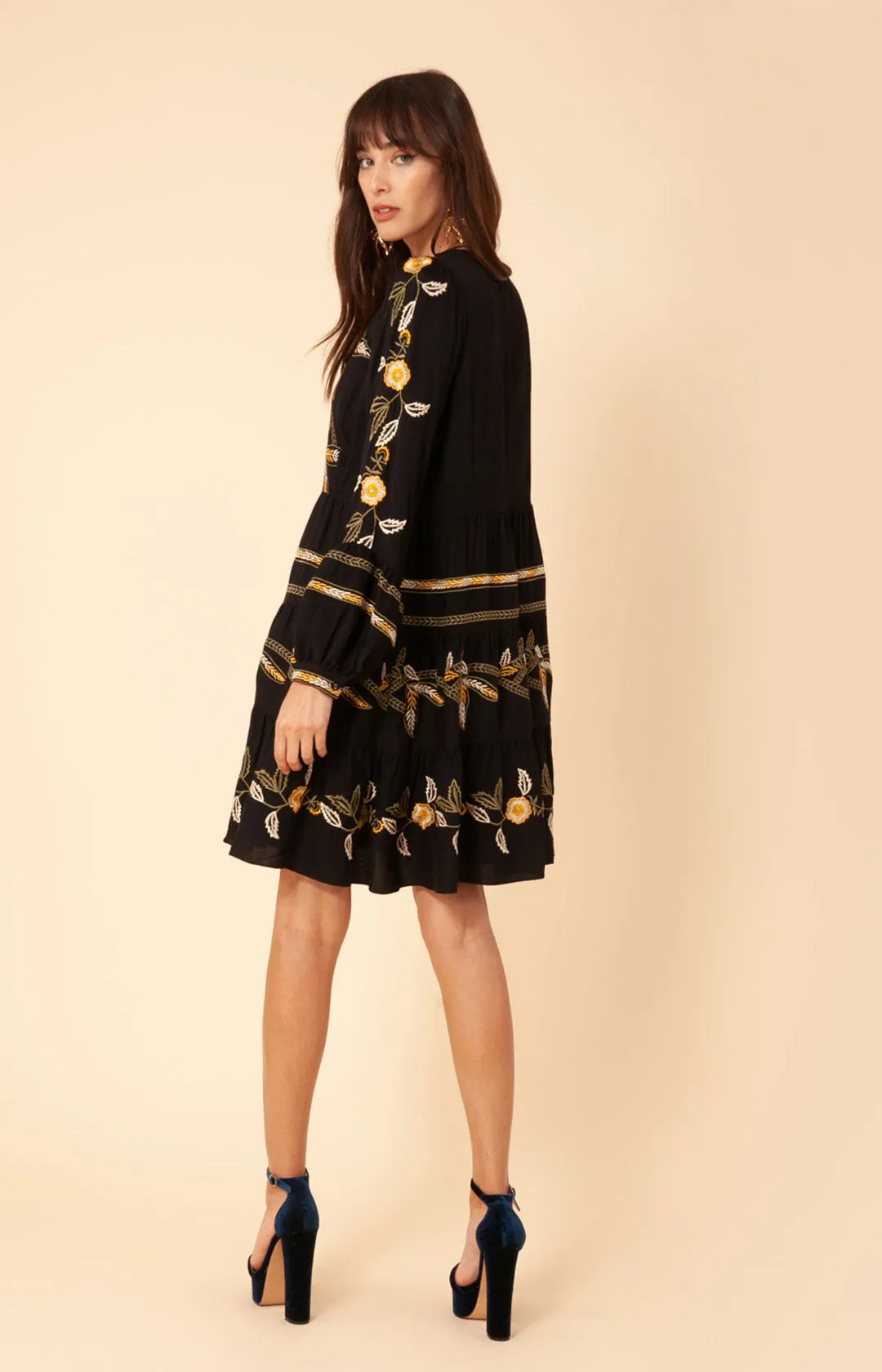 Amelia Embroidered Crepe Dress