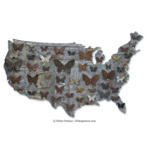 AMERICAN BUTTERFLIES COLLECTION (INDUSTRIAL) original metal wall sculpture