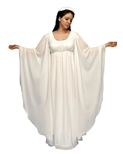 Angel Costume / White Chiffon