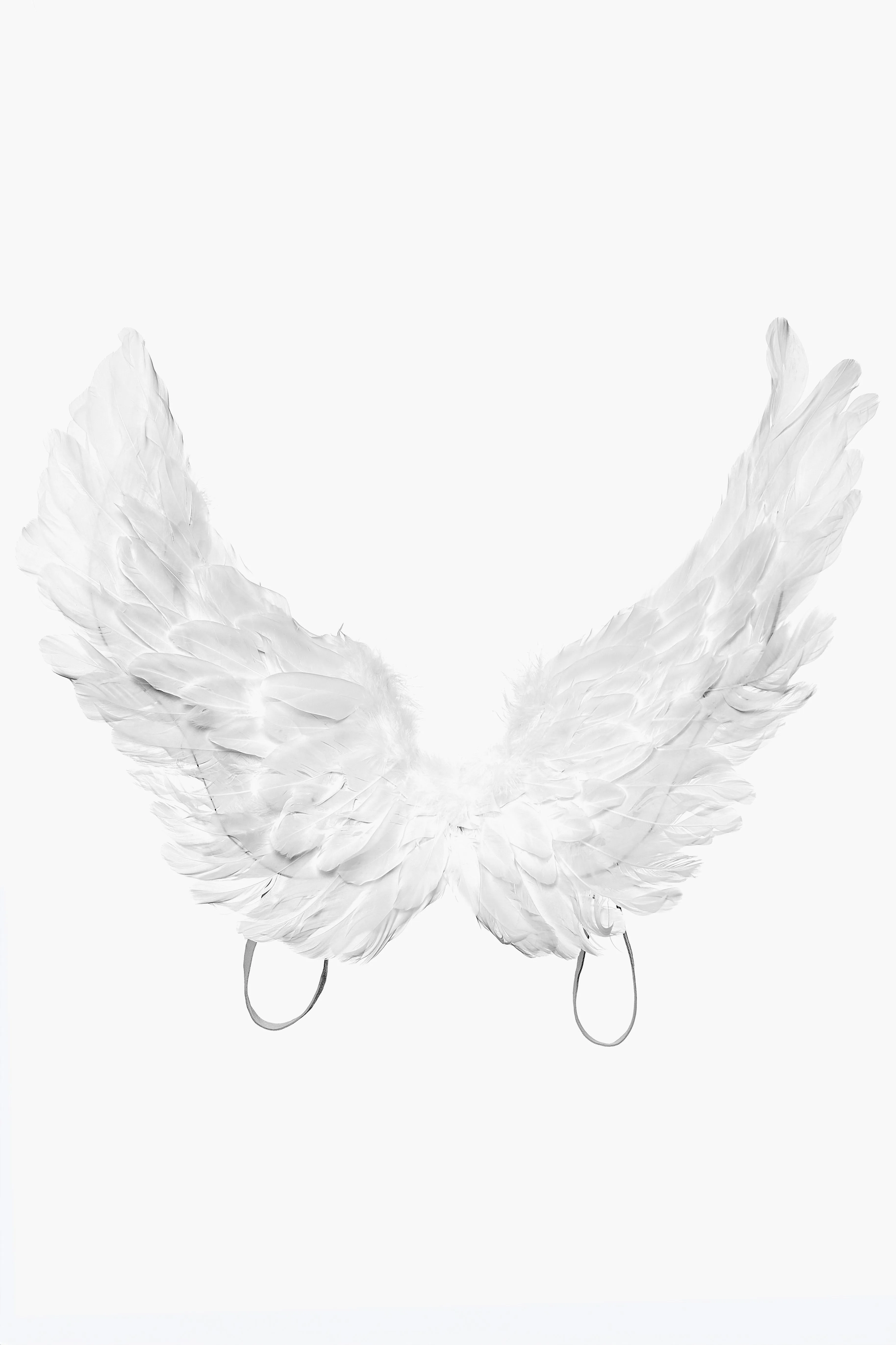 Angelic White Feather Wings