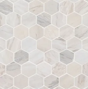 Angora Polished 2" Hexagon Mosaic Tile