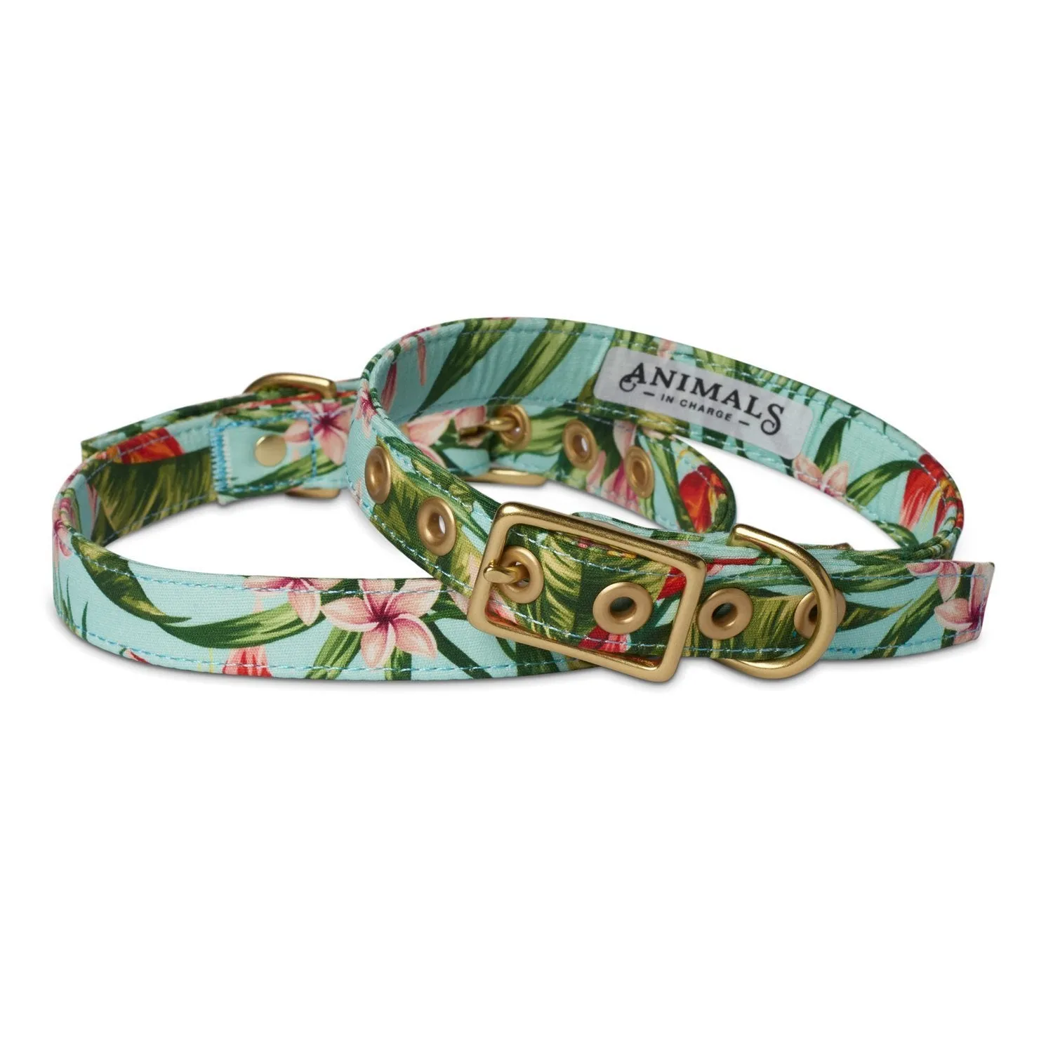 Animals in Charge Cafe Dog Collar Coastal Flower and Brass Large***