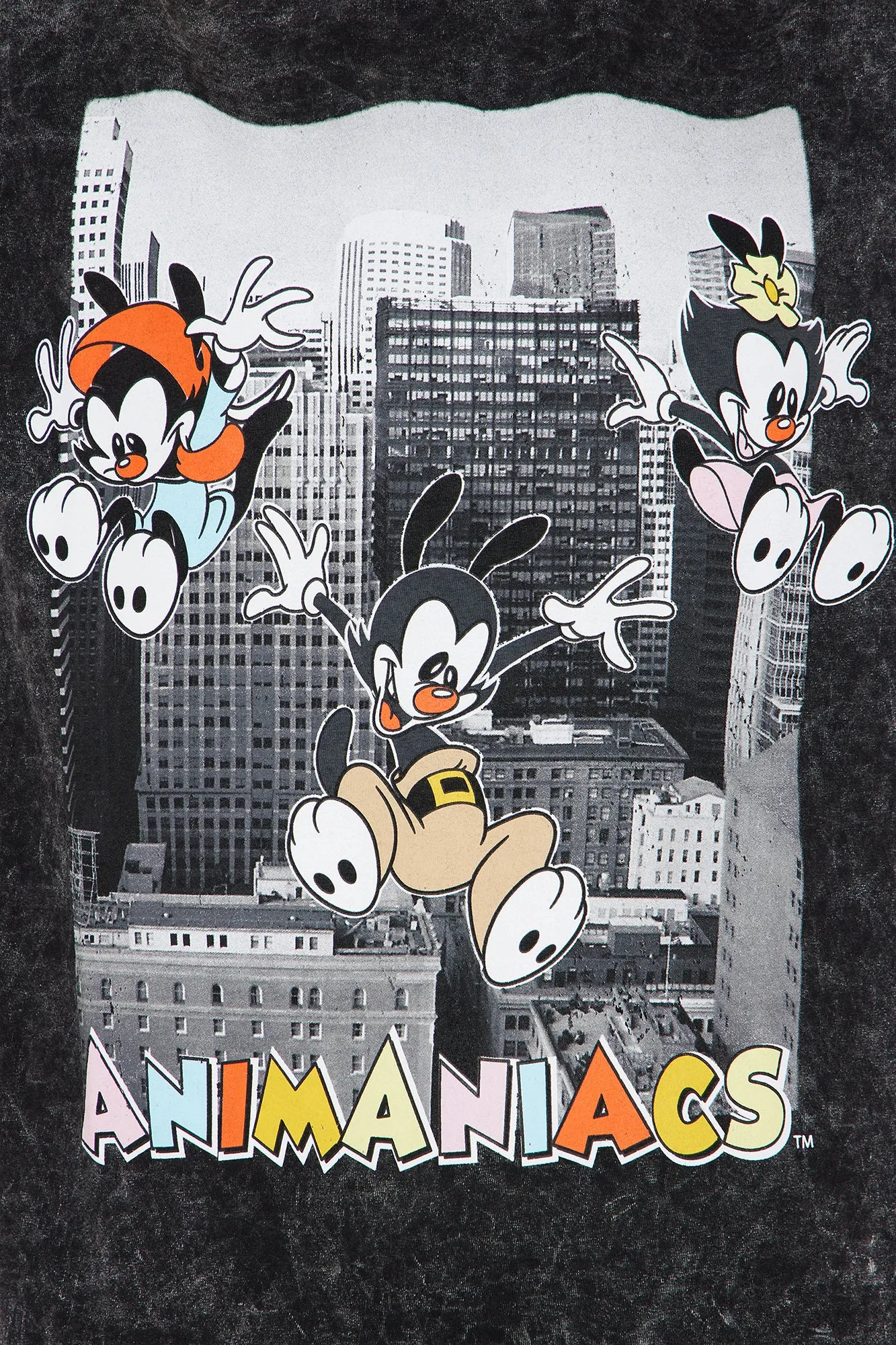 Animaniacs City Graphic Tee - Black Wash