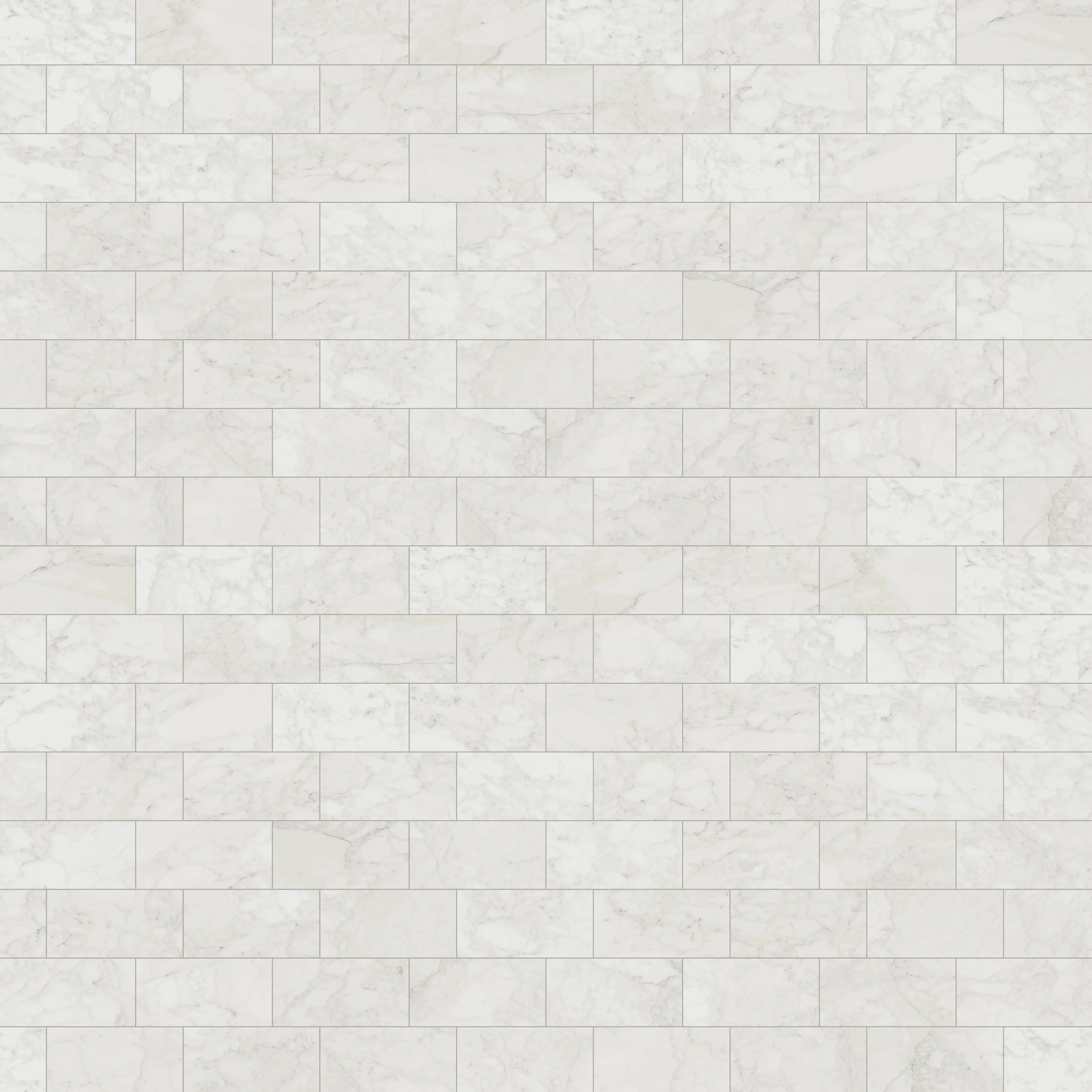 Aniston 12x24 Matte Porcelain Tile in Carrara Bianco